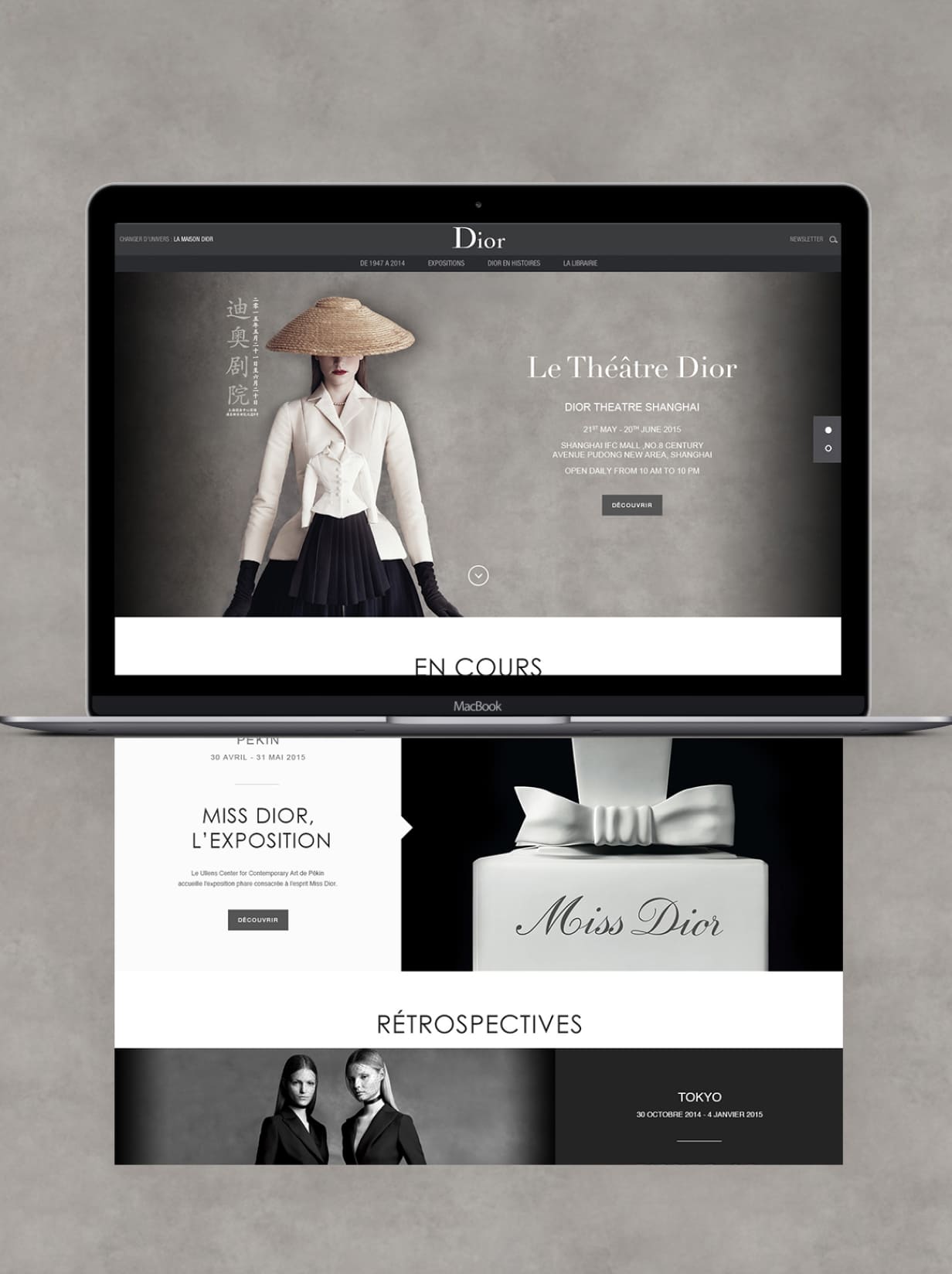 Dior Website & Digital Platform